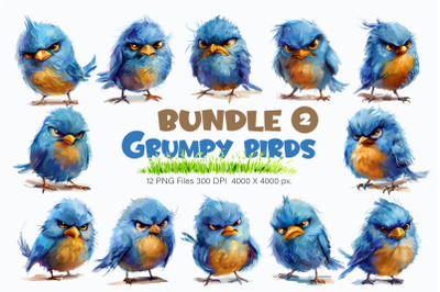 Grumpy cute birds 02. TShirt Sticker.