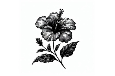 Bundle of hand drawing hibiscus flower outline stroke