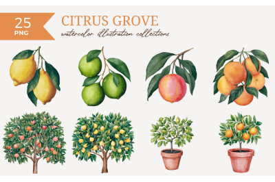 Citrus Grove