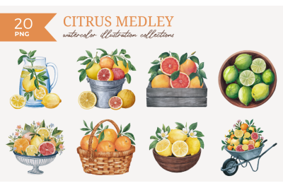 Citrus Medley