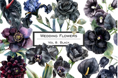 Watercolor black wedding flowers clipart. Pastel black flower clip art. Dark color plants collection. Dark and black floral wedding watercolor set.