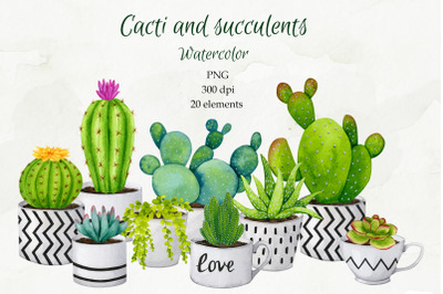 Cacti and succulents. Watercolor elements. PNG.