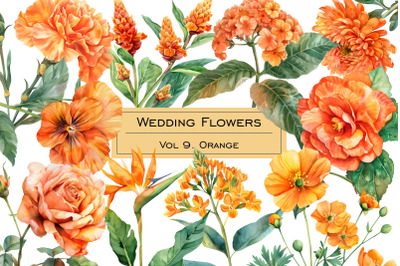 Watercolor orange wedding flowers clipart. Pastel orange flower 15PNG