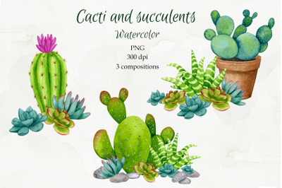 Cacti and Succulents. Watercolor sublimation.