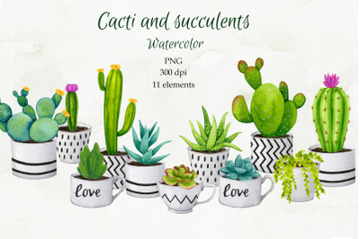 Cacti and succulents. Watercolor cliparts PNG.