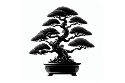 4 Beautiful bonsai tree