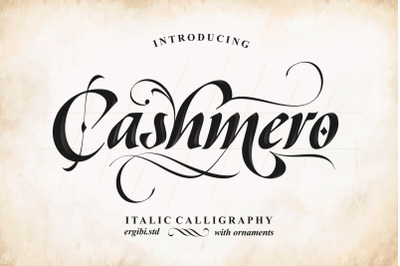 Cashmero - Italic Calligraphy