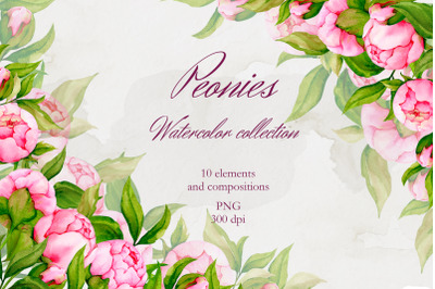 Peonies. Watercolor collection. Wreath, Frames, Clipart
