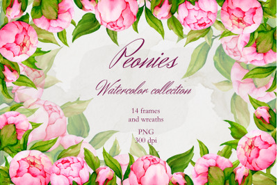 Peonies. Watercolor collection. Wreath, Frames, PNG