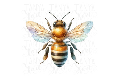 Queen Bee Sublimation Digital Download - Honey Bee PNG