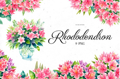Watercolor Rhododendron Bundle | PNG cliparts