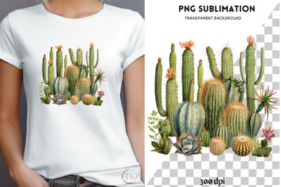 Mexican Succulent PNG Image