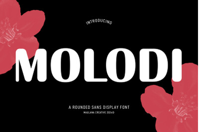 Molodi Rounded Display Font