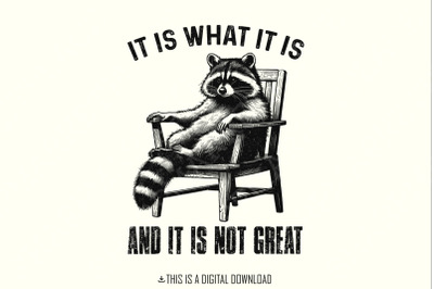 It Is What It Is, And It Is Not Great Racoon T-Shirt Design, Sarcastic Funny Graphic Tee PNG, Trending Sublimation Design, Digital Download