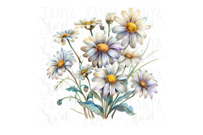 Daisy Floral Digital Downloads, Tshirt Design PNG