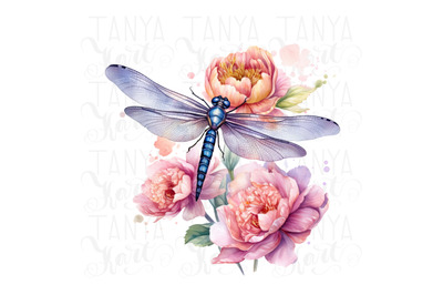 Dragonfly PNG Digital Downloads, Insect Illustration