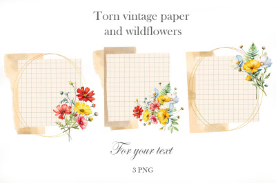 Notebook sheets with flowers. Frames