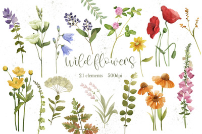 Wild Flower Clipart PNG, Watercolor Flowers, Botanical Floral Clipart