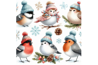 A bundle of Collection of cute winter birds