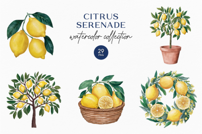 Citrus Serenade - Lemon Delights