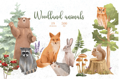 Watercolor Woodland Animals, Wild Animals, Forest Illustration