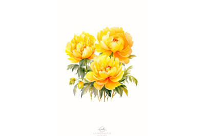 Yellow Peonies PNG Digital Download