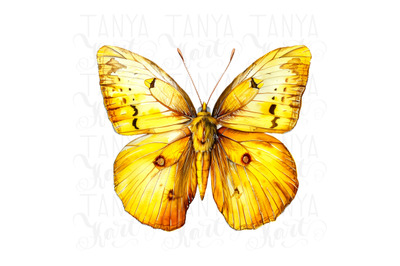 Yellow Butterfly PNG Digital Download