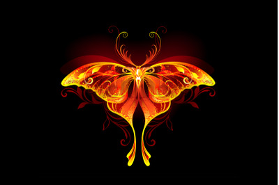 Fire moon butterfly