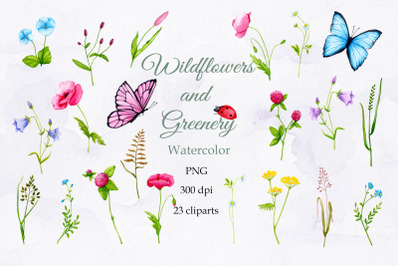 Wildflowers and Greenery. Watercolor clipart. PNG
