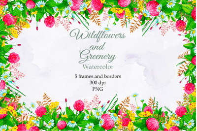 Wildflowers. Watercolor frames. PNG