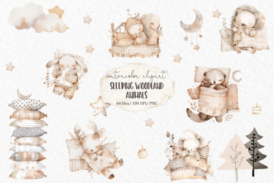 Sleeping clipart woodland animals png