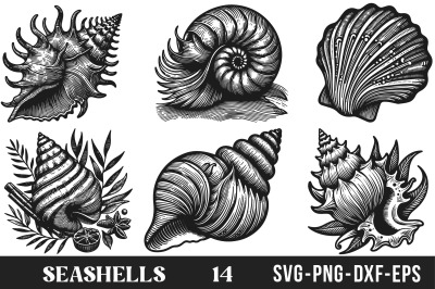 Seashells SVG Bundle