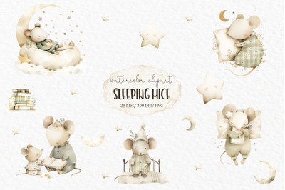 Sleeping mouse clipart PNG