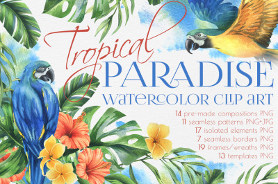 Parrots and tropical plants watercolor clip art