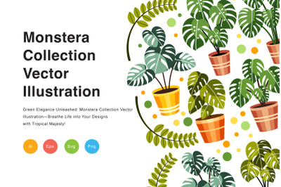 Monstera Collection Vector Illustration