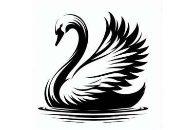 White swan with long plumage, i