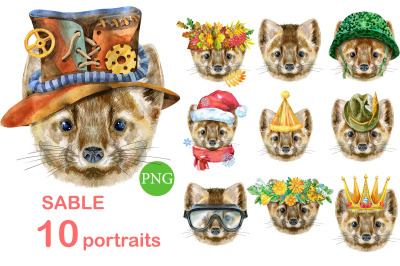 Sable portraits