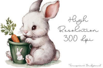 Cute Animal Gardener Water Color PNG