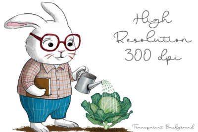 Cute Animal Gardener Water Color PNG