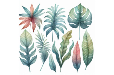 Watercolor tropical leaf set. Drawing of