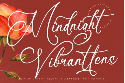 Mindnight Vibranttens - Elegant Script