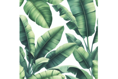 Fresh green banana leaves on white backg