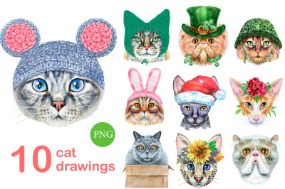 Watercolor cats. Set 3