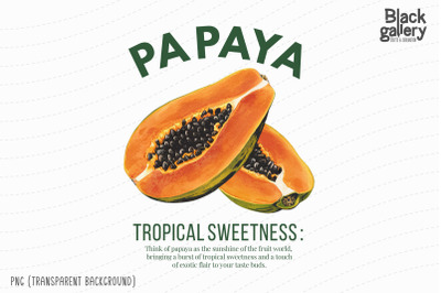 Vintage  Papaya Fruit PNG