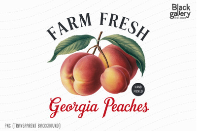 Georgia Peaches Fruit PNG Sublimation