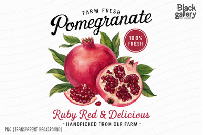 Pomegranate Fruit PNG Sublimation