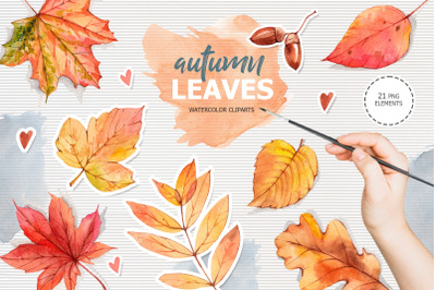 Autumn leaves. Watercolor clipart
