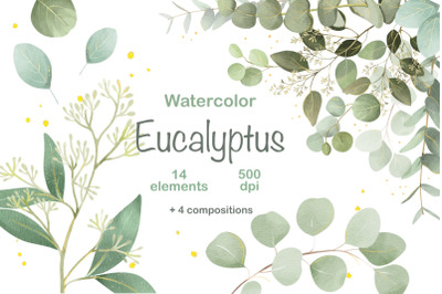 Watercolor Eucalyptus Clipart, Green Leaves Frame PNG