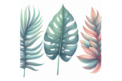 Watercolor tropical leaf set. Drawing of unusual leaves