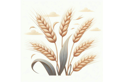 Ears of wheat on white background